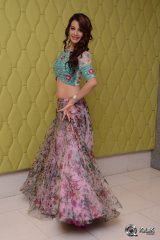 Diksha Panth at Chal Chal Gurram Movie Audio Launch